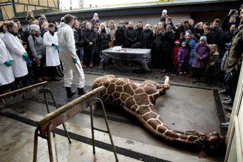 Thousands of zoo animals killed in Europe yearly
