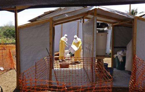 跟踪埃博拉病毒在西非的崛起