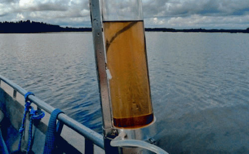 Transformation and flocculation of riverine organic matter in estuaries