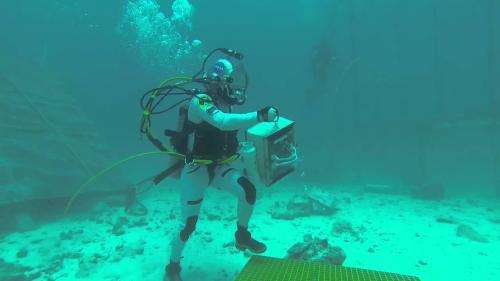 Underwater return for Andreas and Thomas