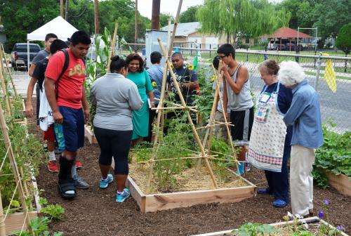 Urban food desert pilot project an ‘oasis’ for at-risk youth