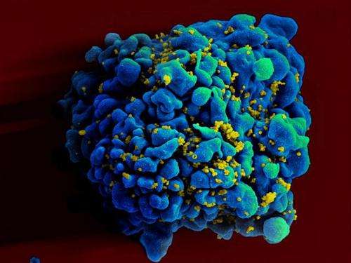 Using silver nanoparticles, researchers create cream that avoids the transmition of HIV