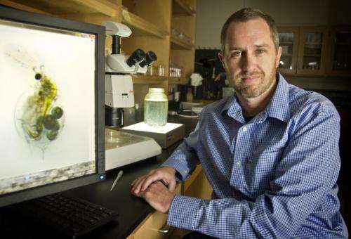 UT Arlington team says non-genetic changes can help parents or offspring, not both