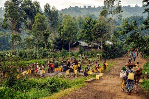 Villagers from Gisigari and Rugari in the Virunga National Park, north of Goma, gather on June 17, 2014