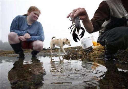 Warming Gulf of Maine imperils lobster, fish catch