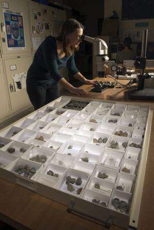 Whst brachiopods can tell us about how species compete, survive, or face extinction 