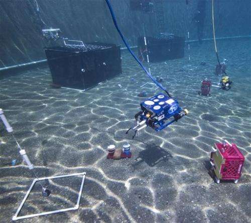 Winners named in global underwater robot event