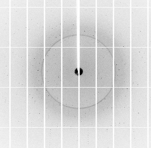 X-rays unlock a protein’s SWEET side