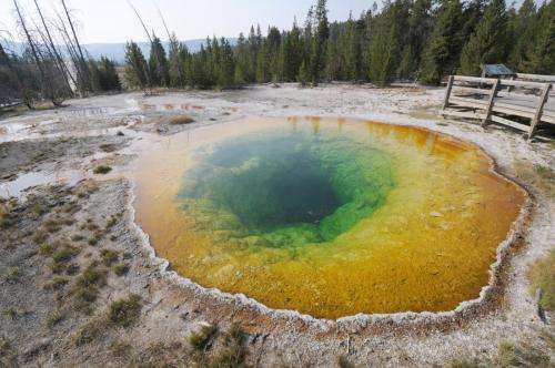 Yellowstone's thermal springs -- their colors unveiled