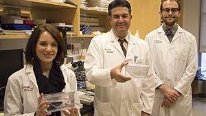 Zebrafish help researchers learn about cancer treatment