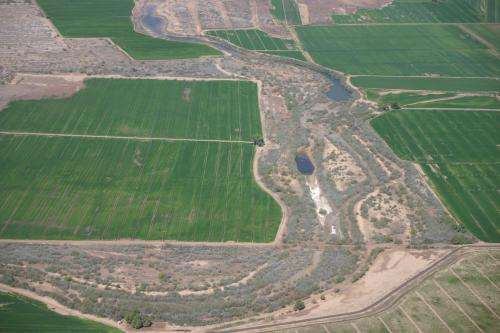Researchers evaluate unprecedented environmental flow to Colorado Delta