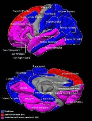 Understanding the basic biology of bipolar disorder