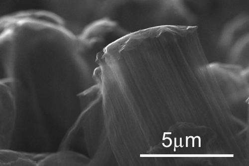 Graphene/nanotube hybrid benefits flexible solar cells