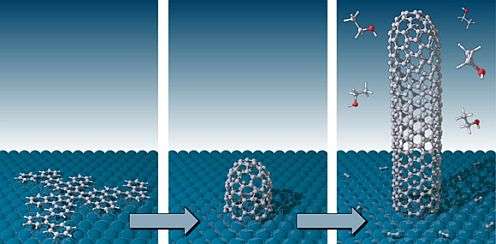 Researchers develop method for growing single species of single-walled carbon nanotubes