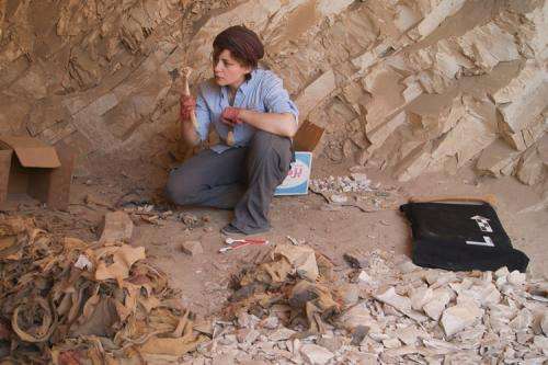 Archaeologist leads the first detailed study of human remains at the ancient Egyptian site of Deir el-Medina