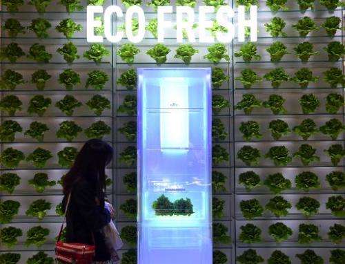 A woman looks at an Eco-Fresh fridge system at the booth of Panasonic during the consumer electronics trade fair in Berlin Septe