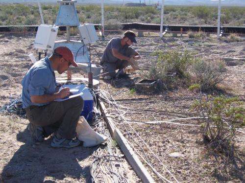 Researchers find arid areas absorb unexpected amounts of atmospheric carbon