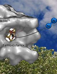 Scientists discover channel used by catalyst to produce ammonia, vital for food and fuel crops