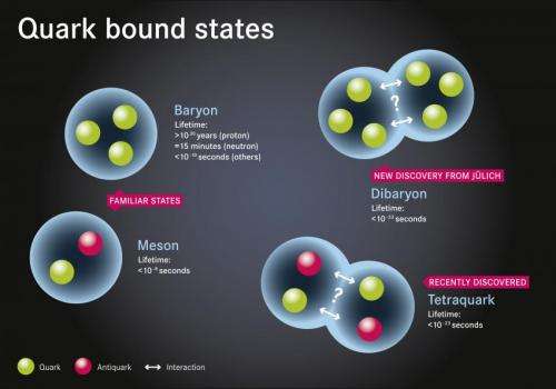 Quarks in six-packs: Exotic Particle Confirmed