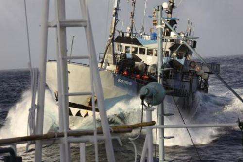 Picture taken by Japan's Institute of Cetacean Research (ICR) on March 2, 2014  shows the environmental group Sea Shepherd's shi