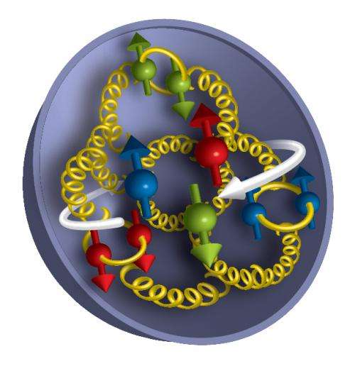 Research reveals gluons make a significant contribution to spin