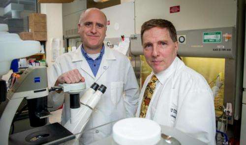 Scientists find potential drug targets in deadly pediatric brain tumors