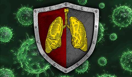 Researchers describe how lungs stand guard against the flu