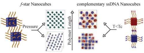 Researchers show polymerized nanocubes form complex structures