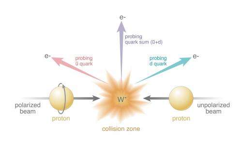 Research reveals gluons make a significant contribution to spin