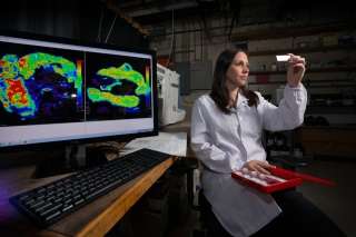 Researchers create tool to help unravel secrets of cancer