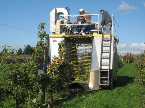 Research reveals promising technology to expand hard cider industry