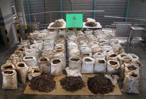 This picture taken on June 16, 2014 and relased by the government's Information Services Department shows seized pangolin scales