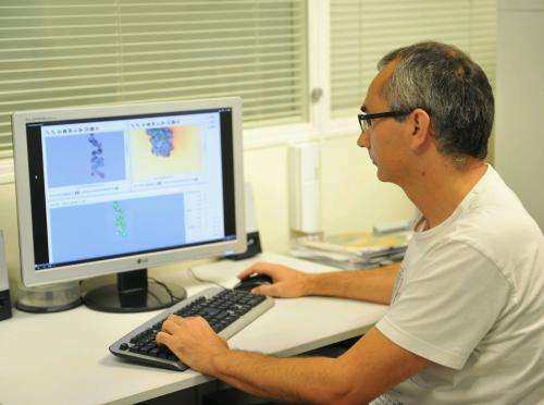 Researchers develop a system to reconstruct grape clusters in 3D and assess their quality