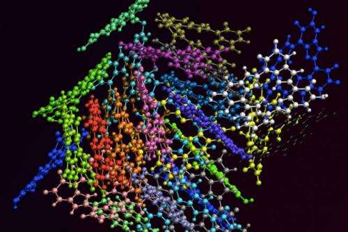 Researchers uncover secret of a ubiquitous pigment's ability to absorb a broad spectrum of light