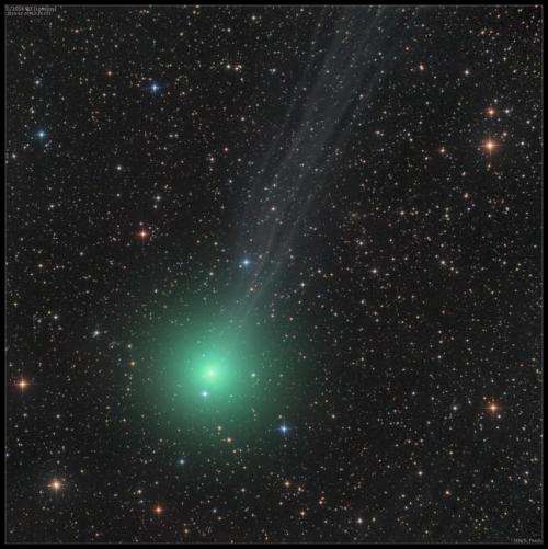 A Christmas comet to be seen from dark skies