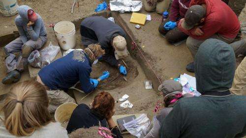 Archeologists discover remains of Ice Age infants in Alaska