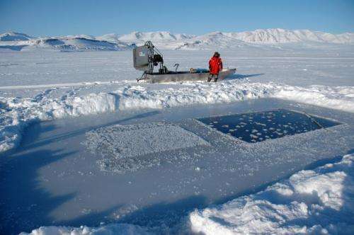 Arctic sea ice helps remove CO2 from the atmosphere
