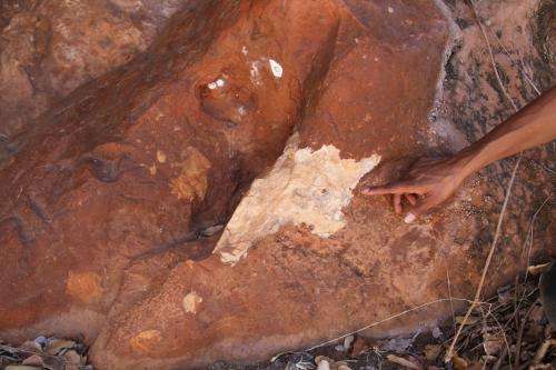 Australian rock art is threatened by a lack of conservation