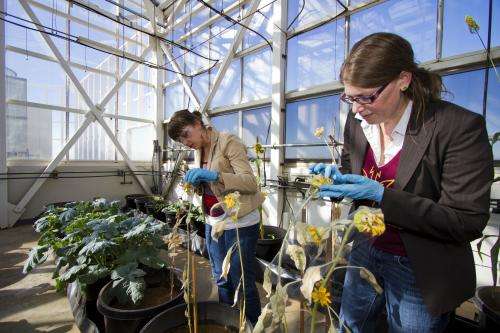 Building the framework for the future of biofuels