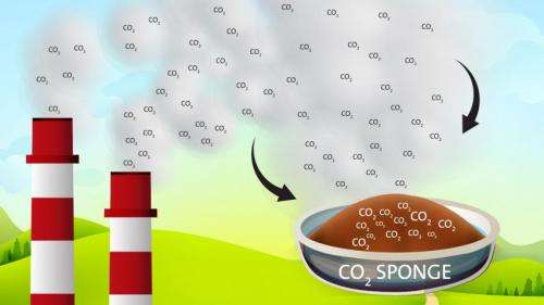 Carbon dioxide 'sponge' could ease transition to cleaner energy