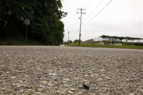 Car detour lets toads cross road without croaking