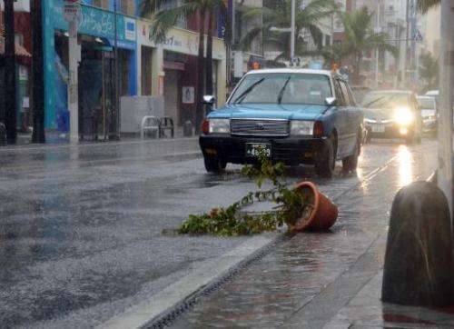 Cars drive past a potted plant blown over by strong winds caused by Typhoon Vongfong in Naha, Japan's southern Okinawa island on