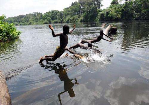 Children play the Bandama river in the Ivorian region of Kossou on March 10, 2009,  at severe risk of Bilharziasis