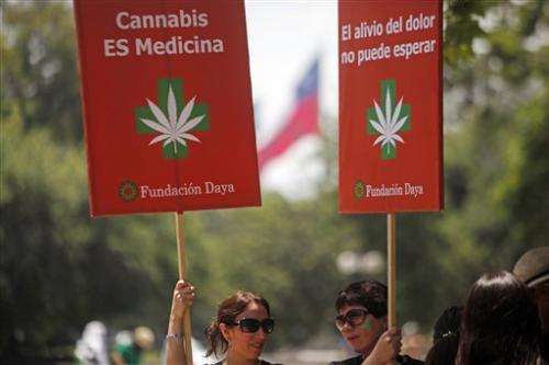 Chilean moms growing support for medical marijuana
