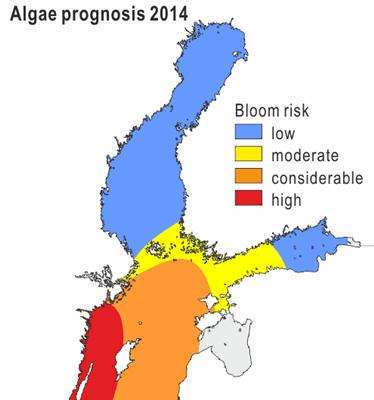 Considerable risk of blue-green algal blooms in some of Finland's sea areas