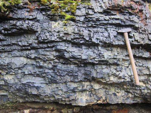 Deposits of Phosphorites Could Be Geological Signpost of Life