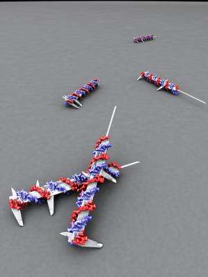 DNA origami nano-tool provides important clue to cancer