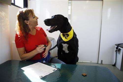 Dog's best friend? Other dogs that give blood
