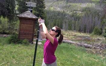 Earth Week: Bark beetles change Rocky Mountain stream flows, affect water quality