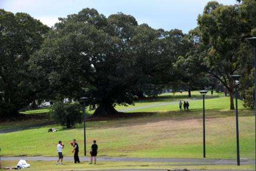 File photo of the Royal Botanical Gardens in Sydney, Australia